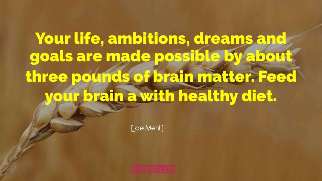 Joe Mehl Quotes: Your life, ambitions, dreams and