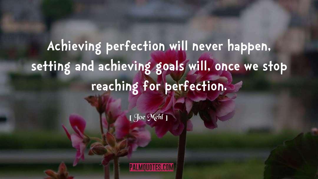 Joe Mehl Quotes: Achieving perfection will never happen,