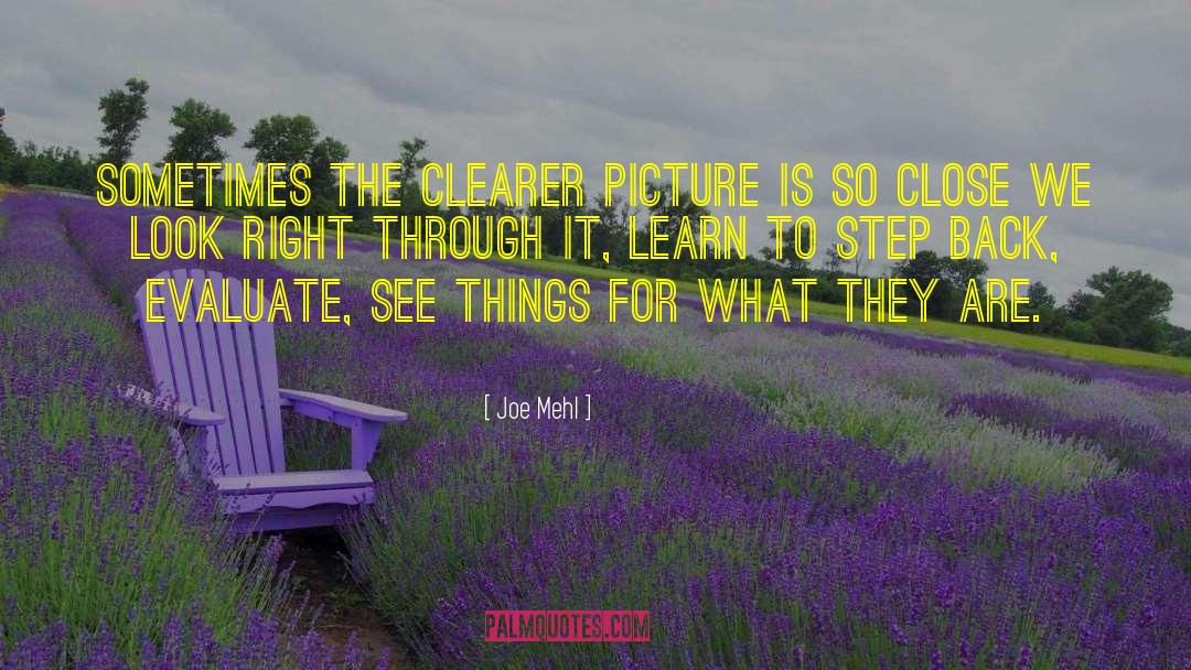 Joe Mehl Quotes: Sometimes the clearer picture is