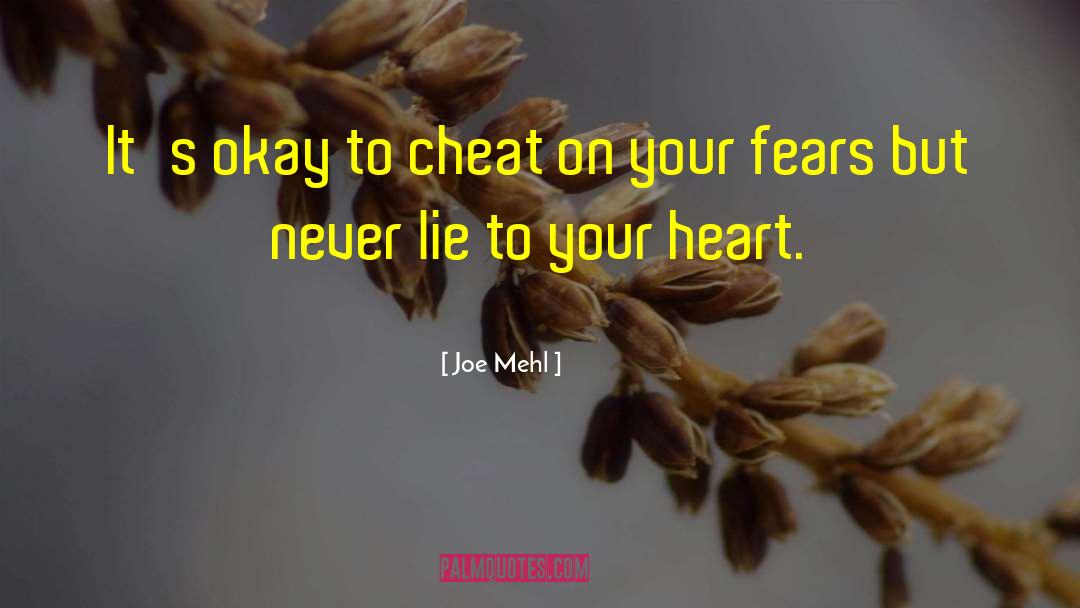 Joe Mehl Quotes: It's okay to cheat on