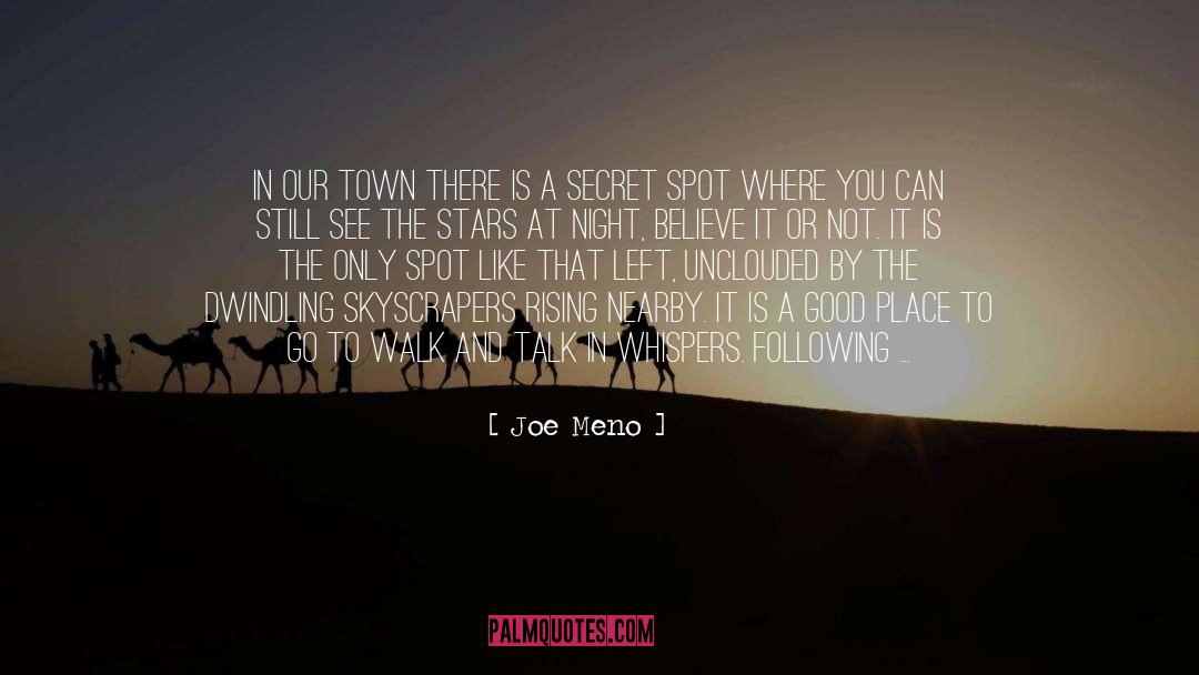 Joe Meno Quotes: In our town there is