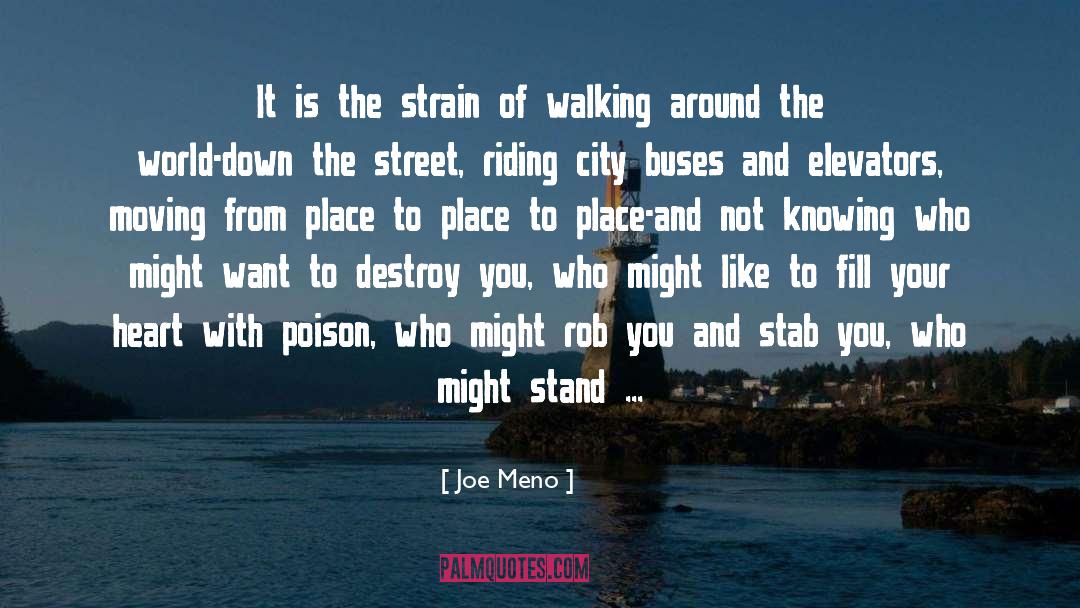 Joe Meno Quotes: It is the strain of