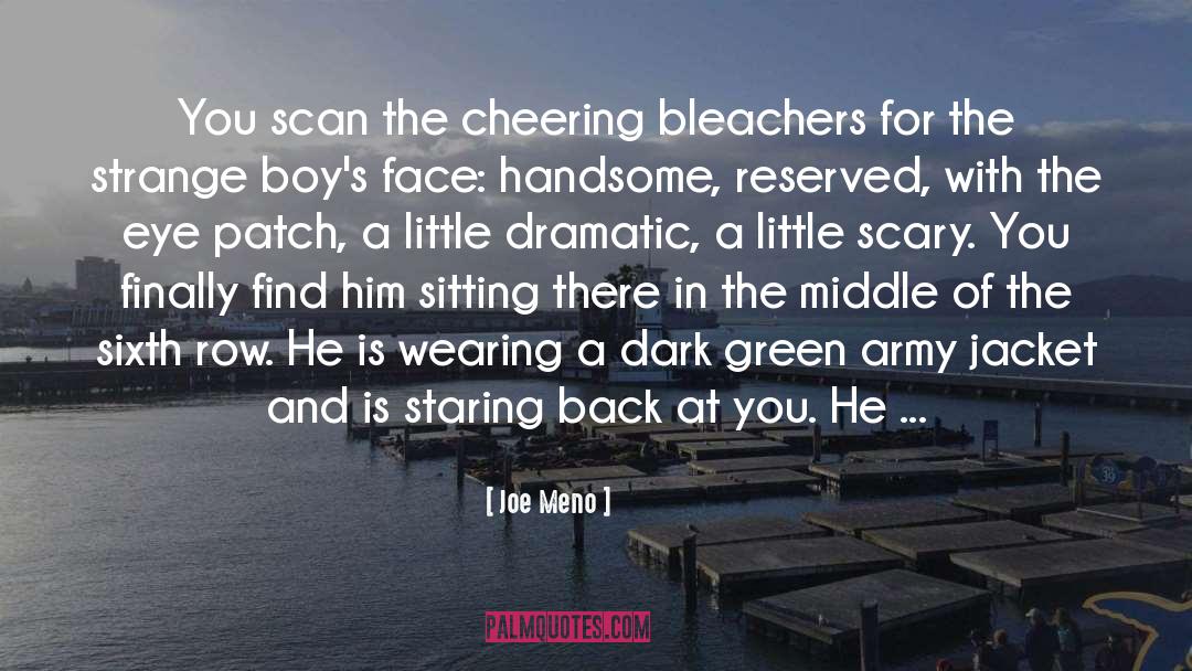 Joe Meno Quotes: You scan the cheering bleachers