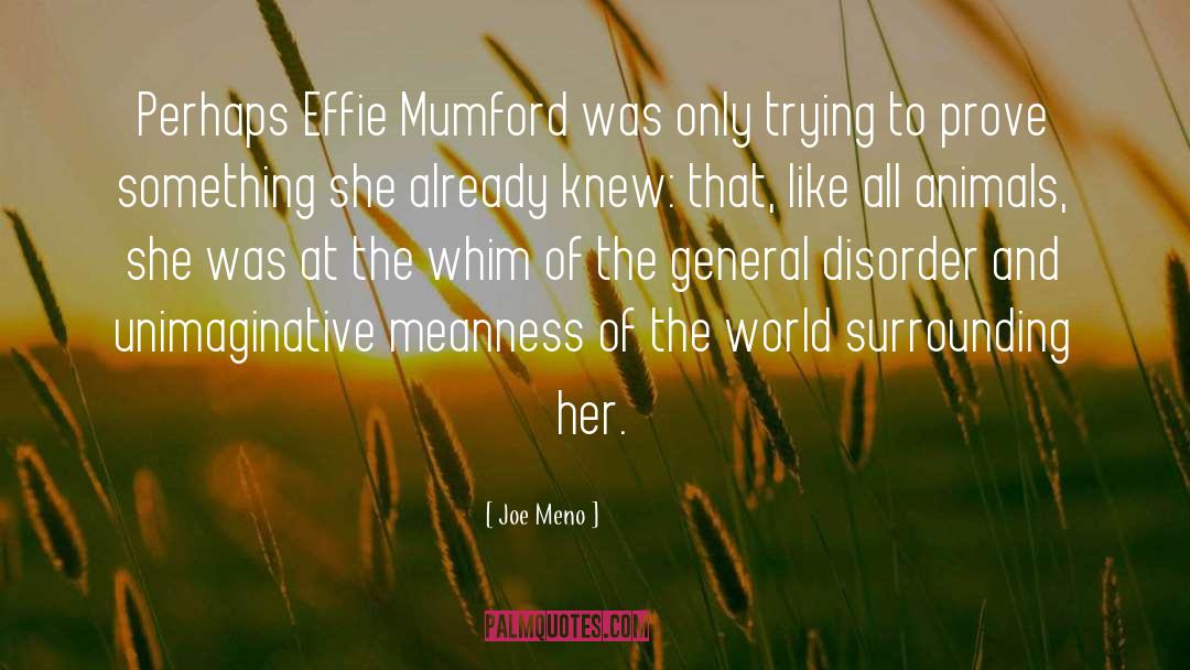 Joe Meno Quotes: Perhaps Effie Mumford was only