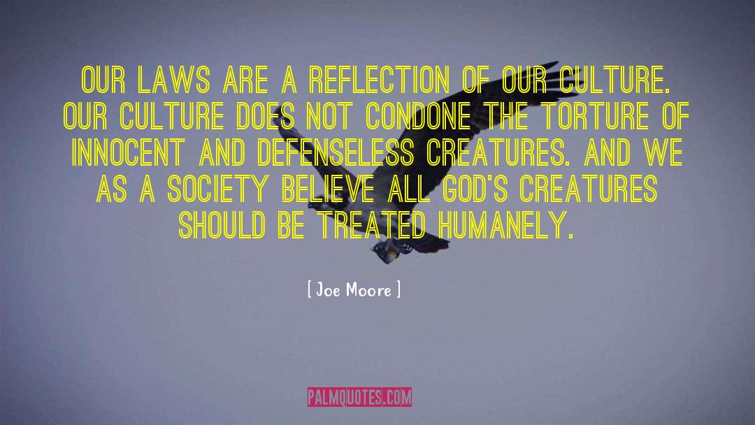 Joe Moore Quotes: Our laws are a reflection