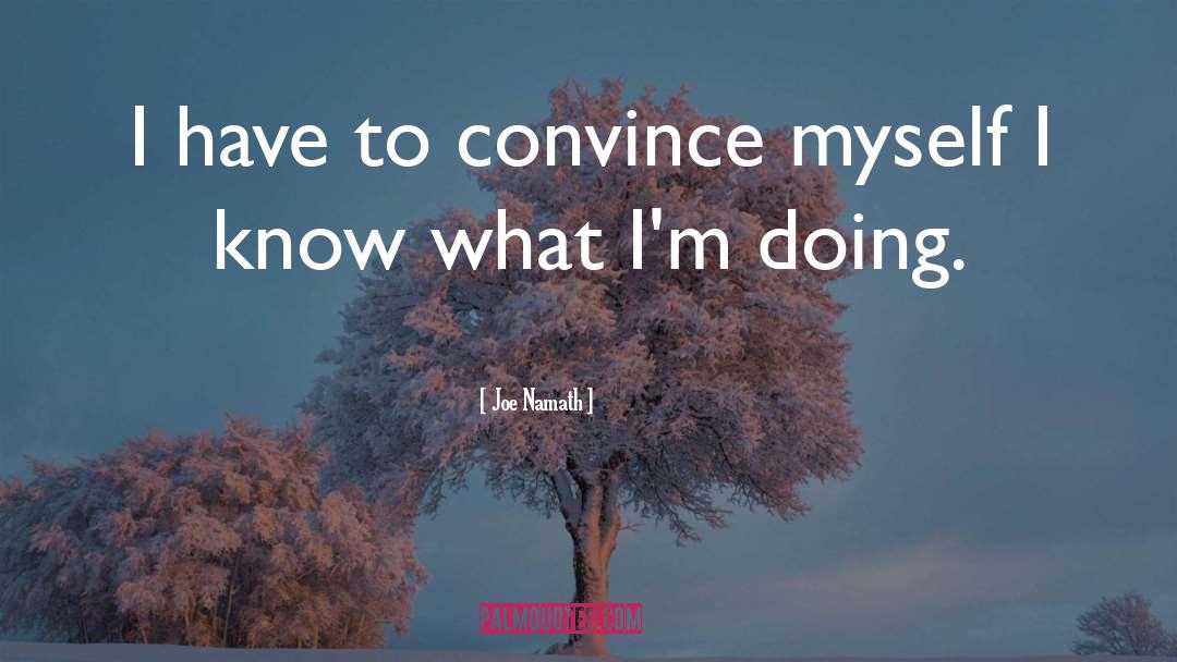 Joe Namath Quotes: I have to convince myself