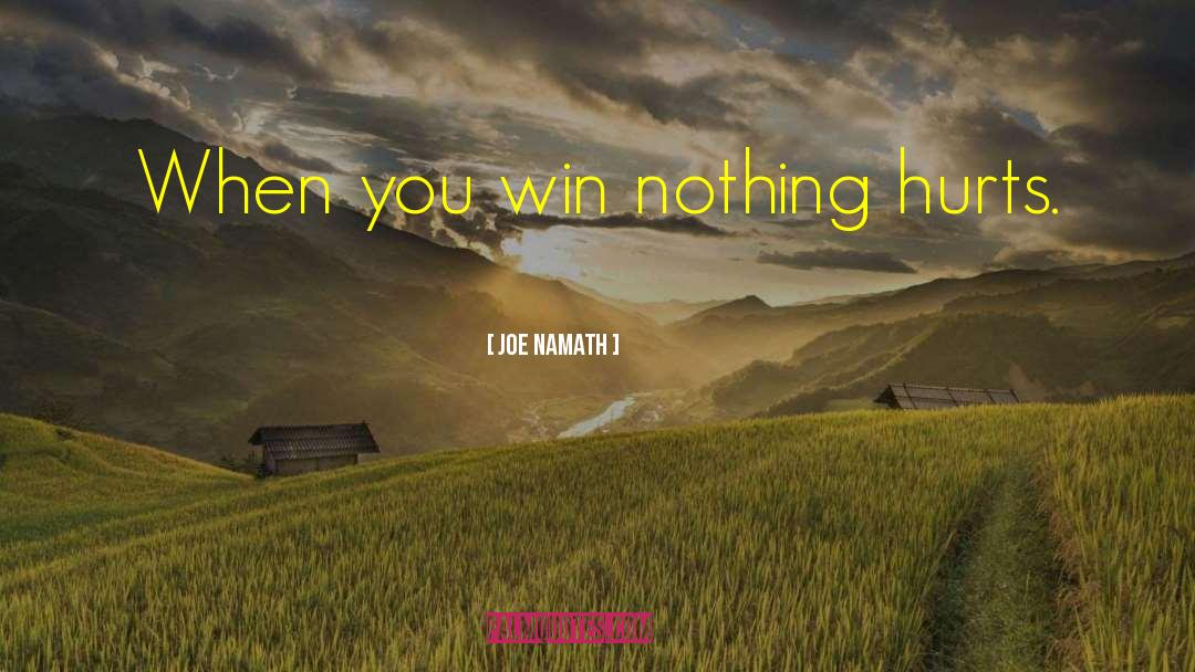 Joe Namath Quotes: When you win nothing hurts.