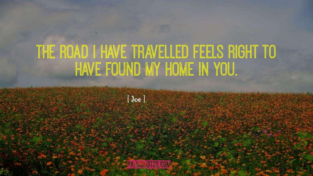 Joe Quotes: The road I have travelled