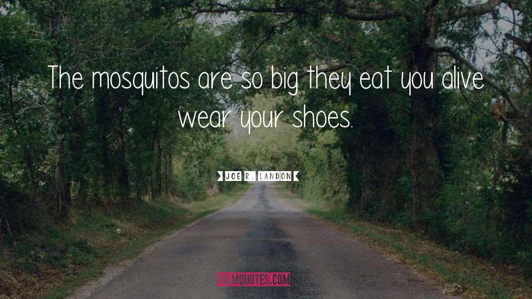 Joe R. Landon Quotes: The mosquitos are so big