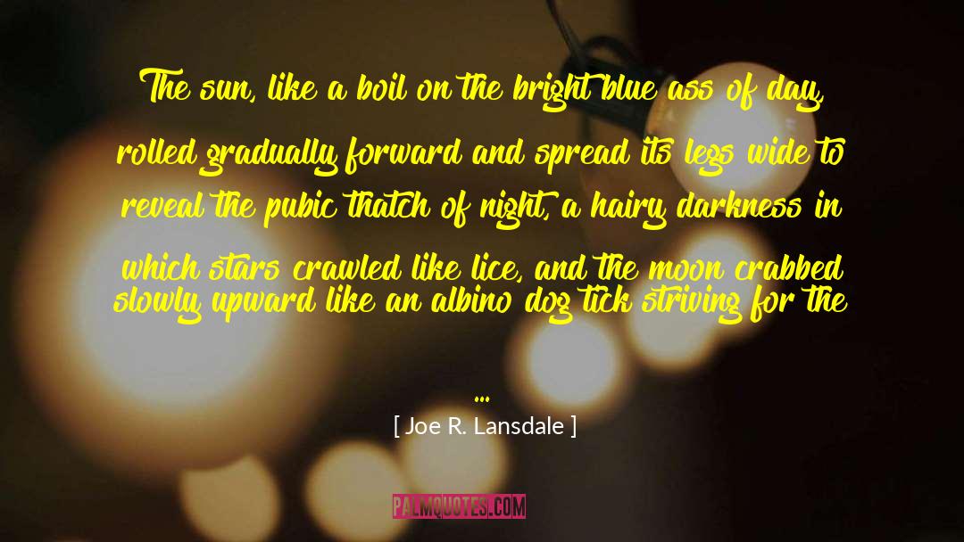 Joe R. Lansdale Quotes: The sun, like a boil