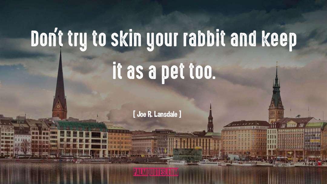 Joe R. Lansdale Quotes: Don't try to skin your