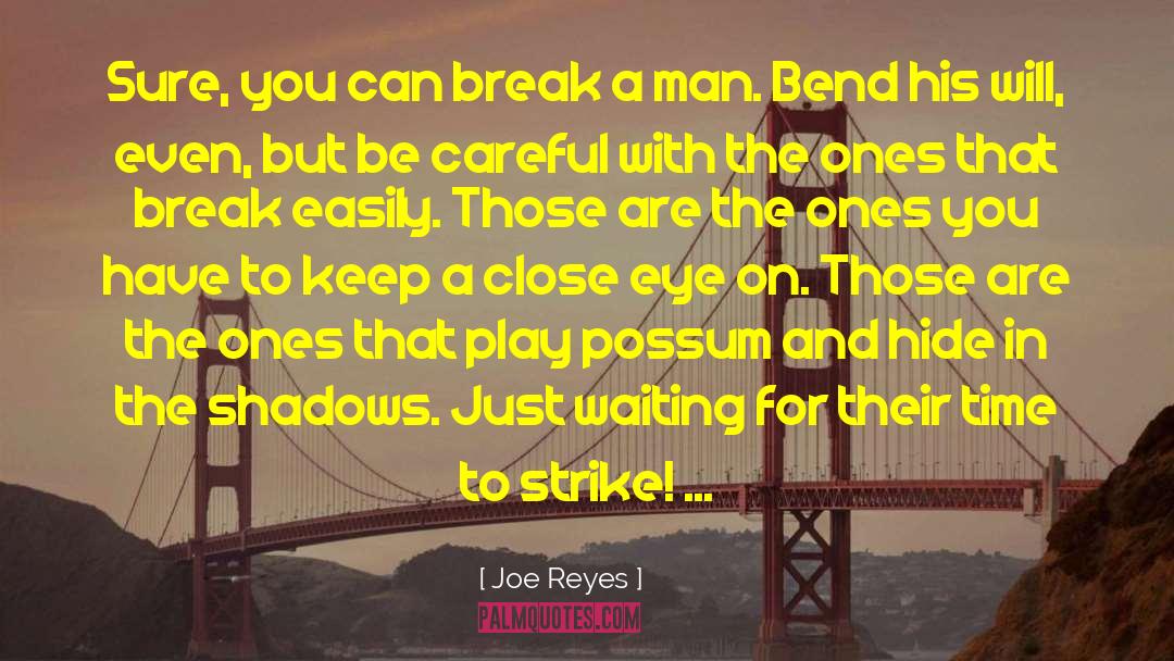 Joe Reyes Quotes: Sure, you can break a