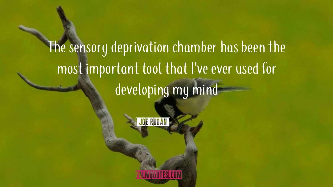 Joe Rogan Quotes: The sensory deprivation chamber has