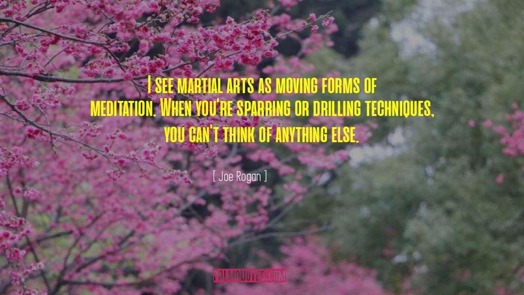 Joe Rogan Quotes: I see martial arts as