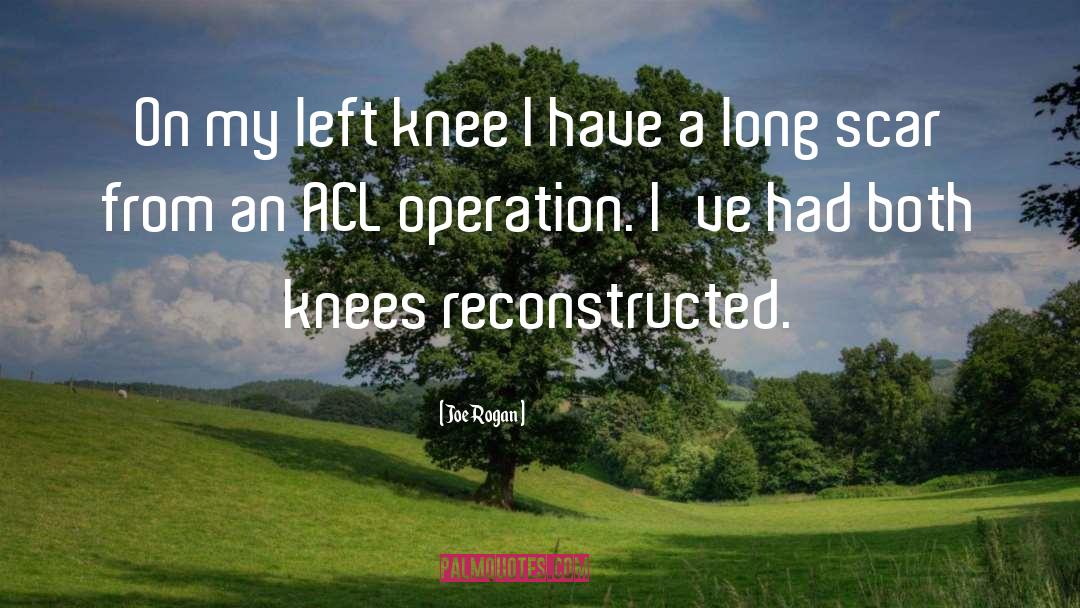 Joe Rogan Quotes: On my left knee I