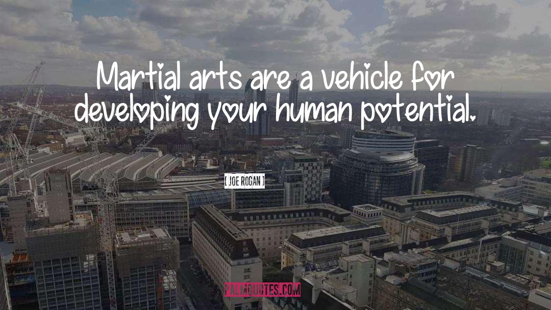 Joe Rogan Quotes: Martial arts are a vehicle