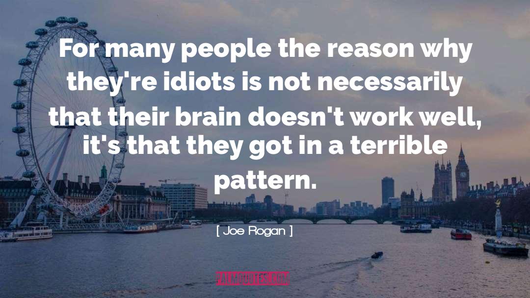 Joe Rogan Quotes: For many people the reason