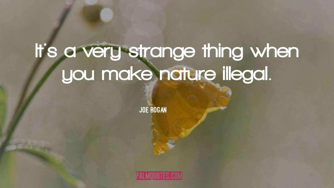 Joe Rogan Quotes: It's a very strange thing