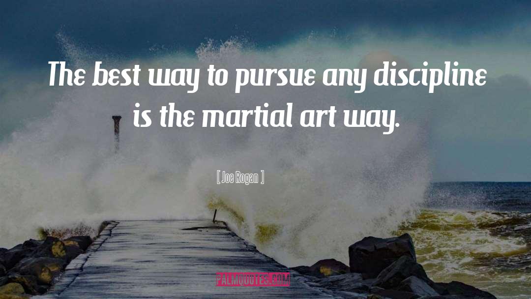 Joe Rogan Quotes: The best way to pursue