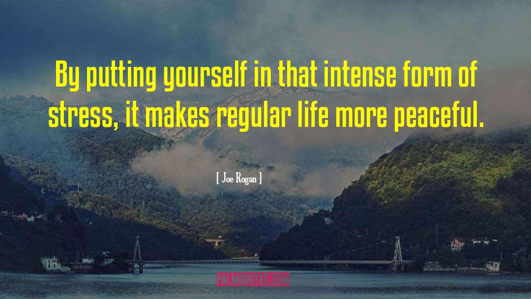 Joe Rogan Quotes: By putting yourself in that