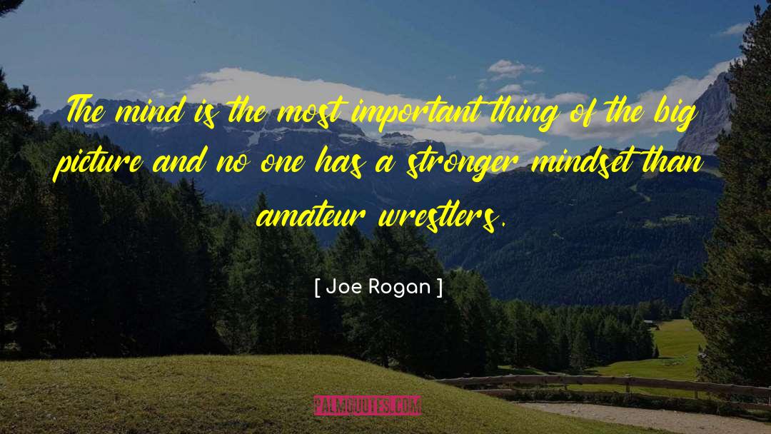 Joe Rogan Quotes: The mind is the most