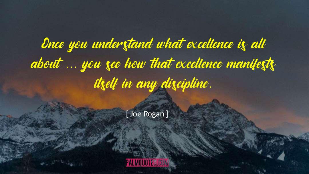 Joe Rogan Quotes: Once you understand what excellence