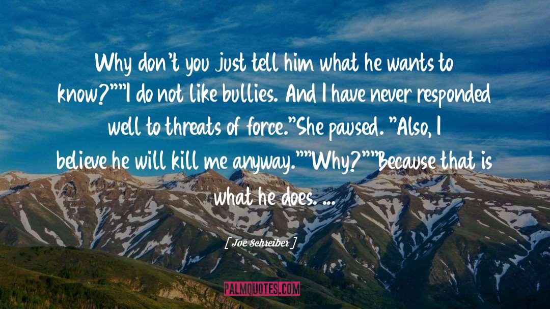 Joe Schreiber Quotes: Why don't you just tell