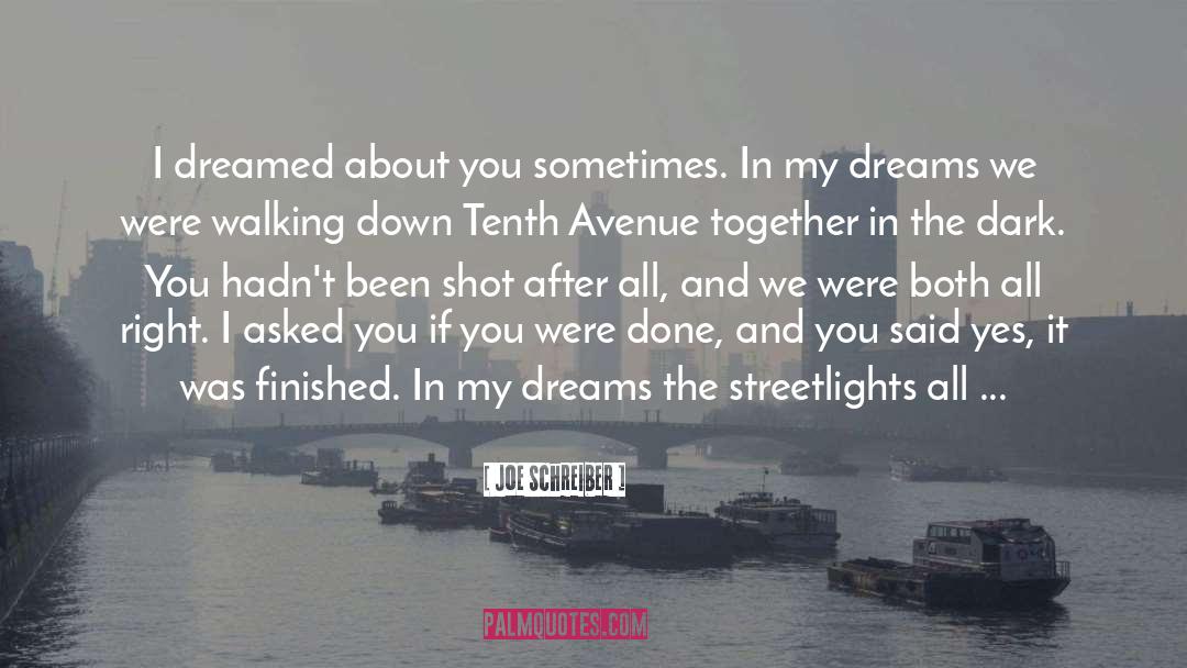 Joe Schreiber Quotes: I dreamed about you sometimes.