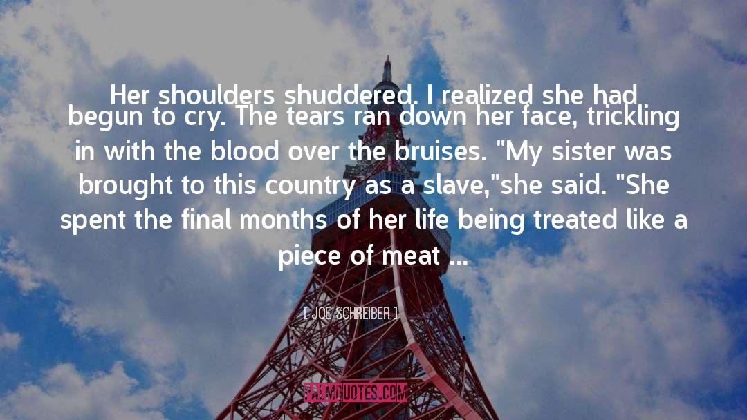 Joe Schreiber Quotes: Her shoulders shuddered. I realized