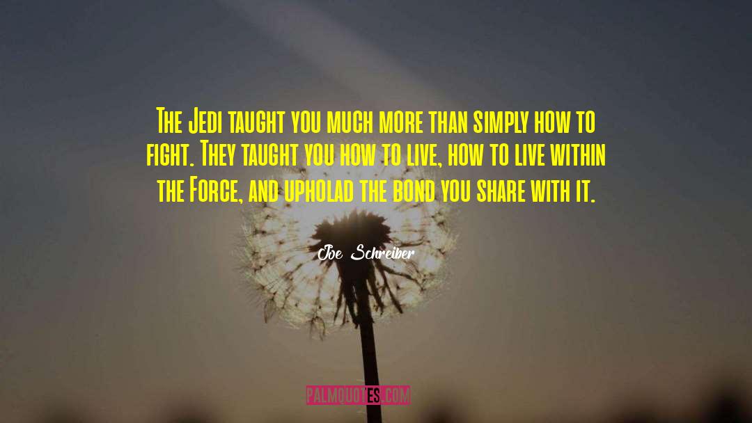 Joe Schreiber Quotes: The Jedi taught you much