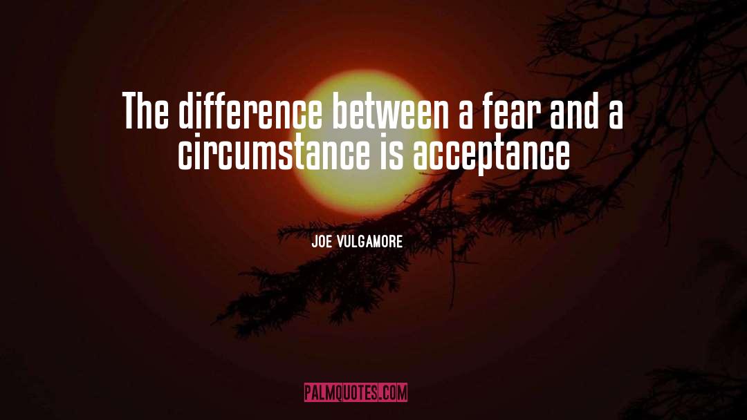 Joe Vulgamore Quotes: The difference between a fear