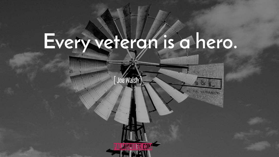 Joe Walsh Quotes: Every veteran is a hero.