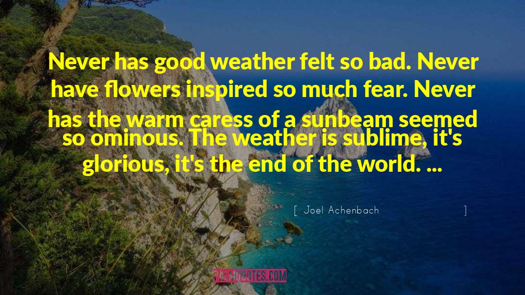 Joel Achenbach Quotes: Never has good weather felt