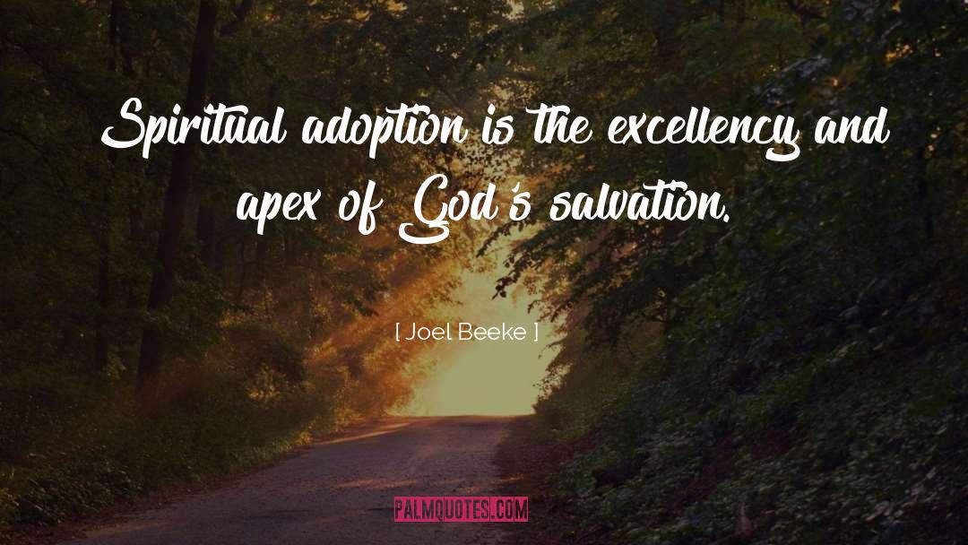 Joel Beeke Quotes: Spiritual adoption is the excellency