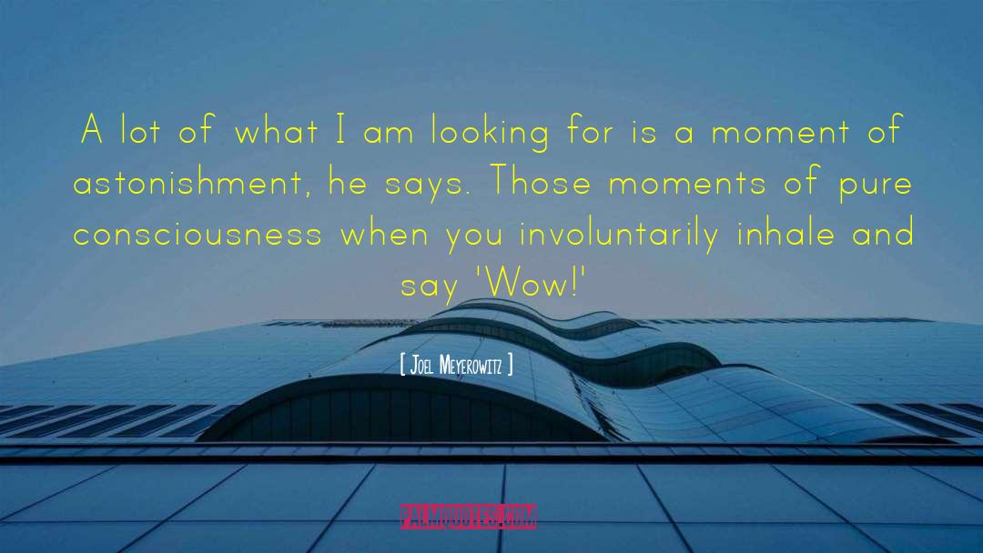 Joel Meyerowitz Quotes: A lot of what I