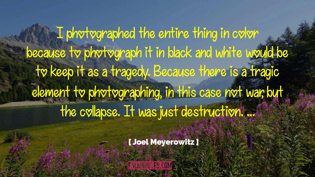 Joel Meyerowitz Quotes: I photographed the entire thing