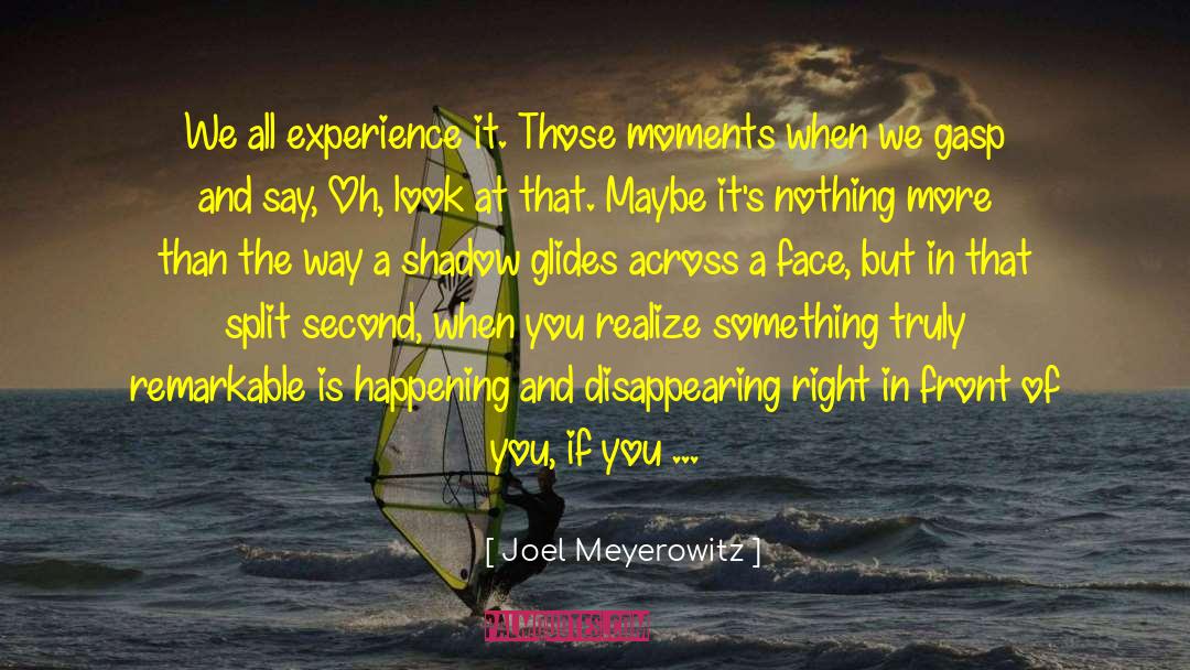 Joel Meyerowitz Quotes: We all experience it. Those
