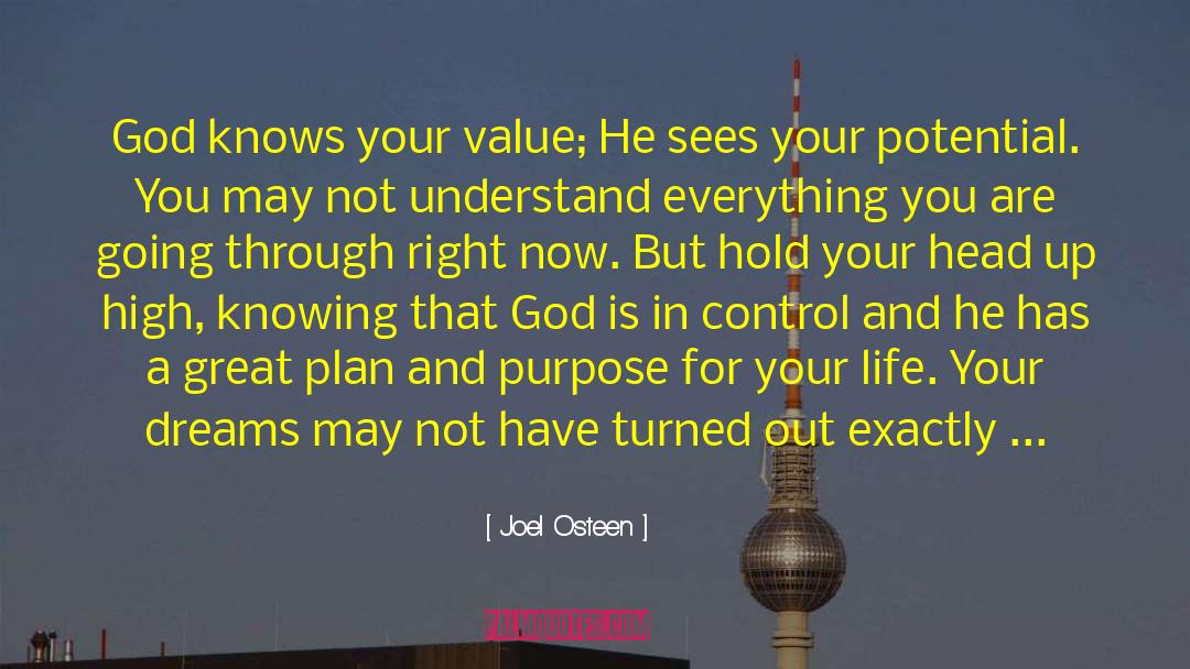 Joel Osteen Quotes: God knows your value; He