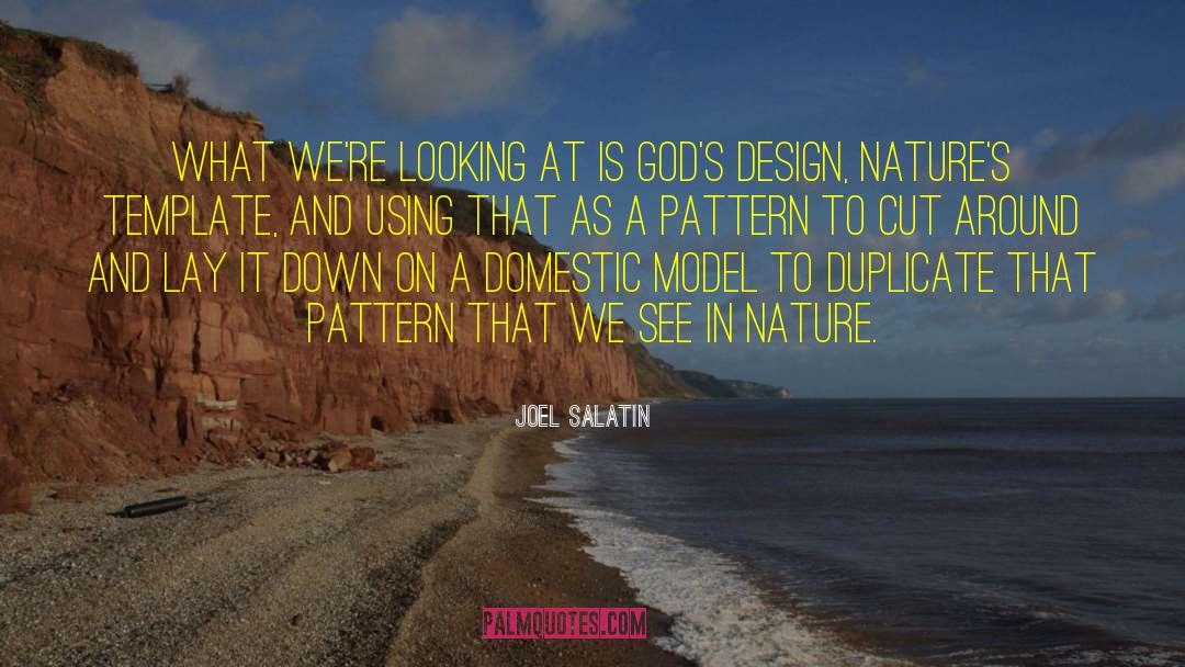 Joel Salatin Quotes: What we're looking at is
