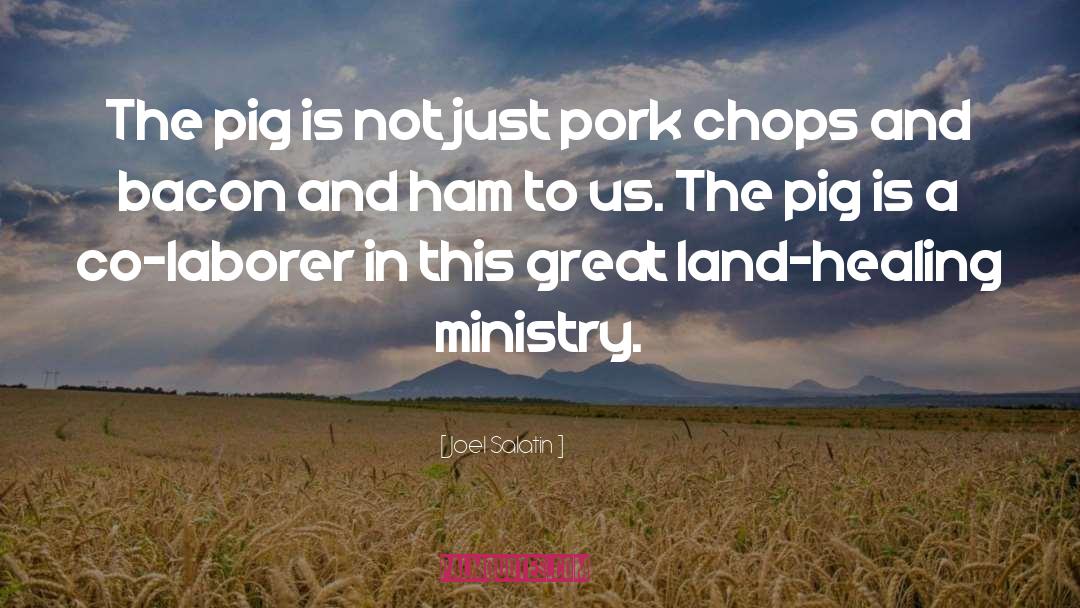 Joel Salatin Quotes: The pig is not just