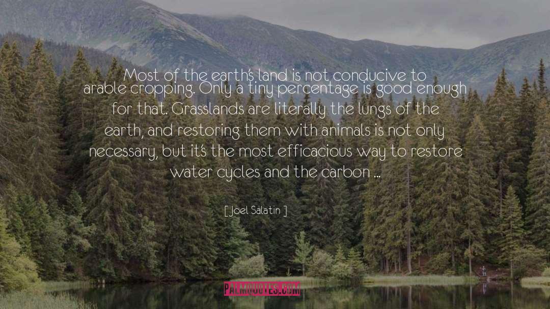 Joel Salatin Quotes: Most of the earth's land