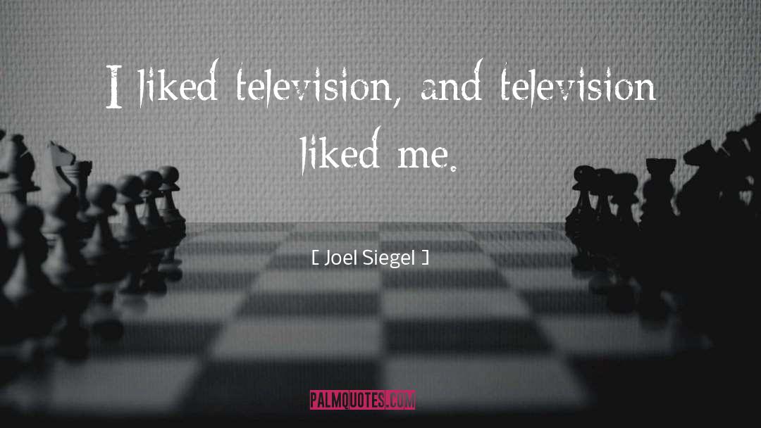 Joel Siegel Quotes: I liked television, and television