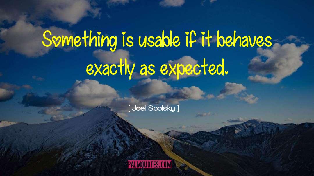 Joel Spolsky Quotes: Something is usable if it