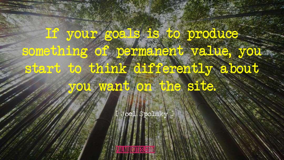 Joel Spolsky Quotes: If your goals is to