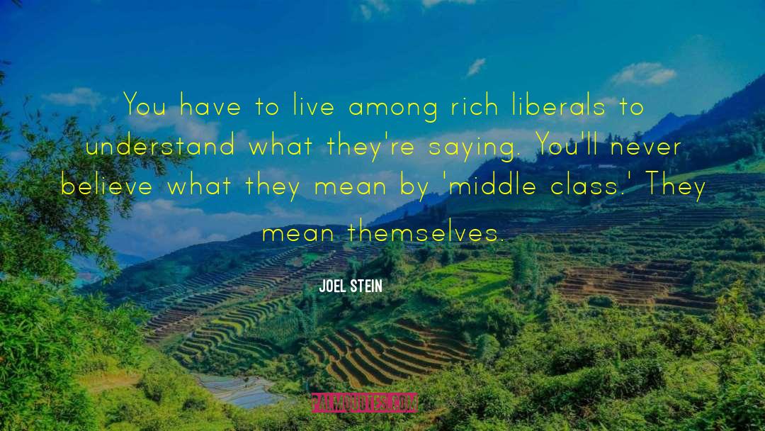 Joel Stein Quotes: You have to live among