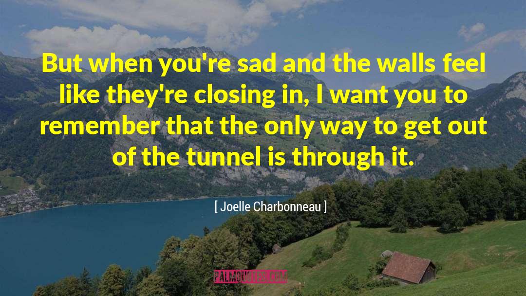 Joelle Charbonneau Quotes: But when you're sad and