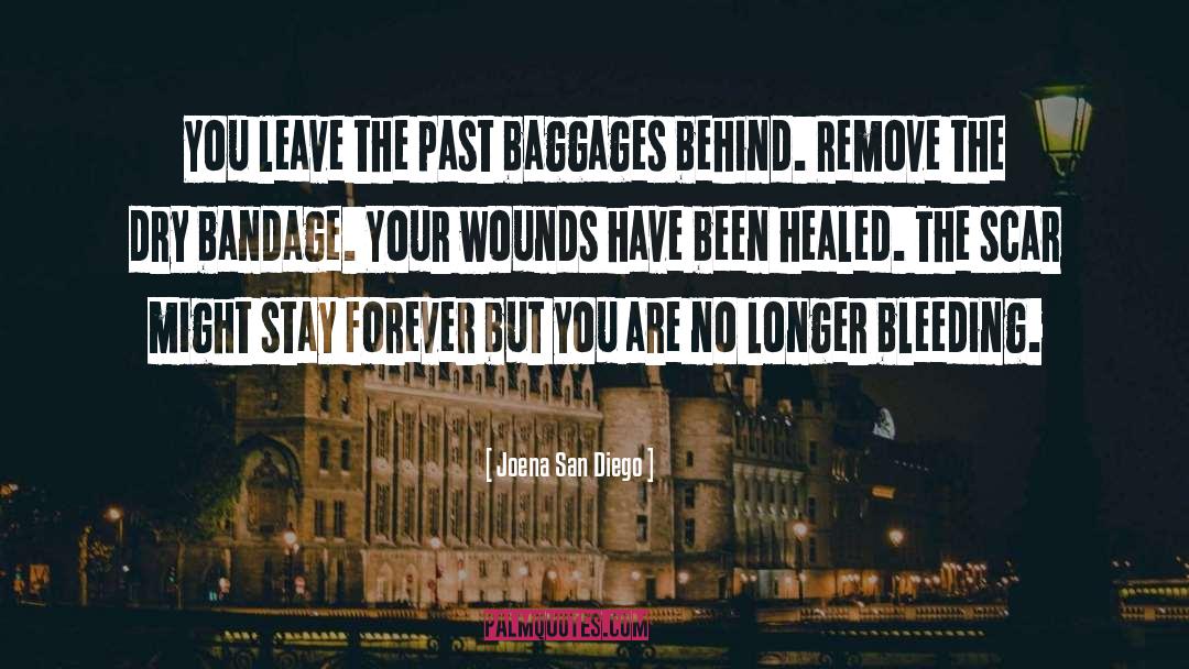 Joena San Diego Quotes: You leave the past baggages