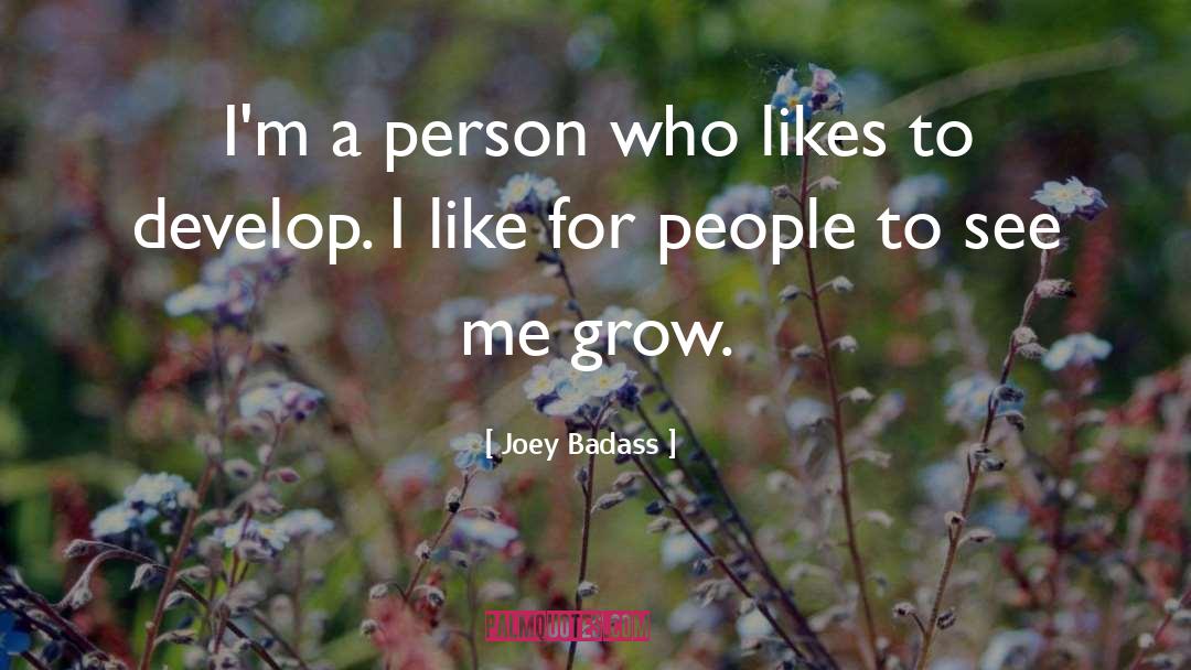 Joey Badass Quotes: I'm a person who likes