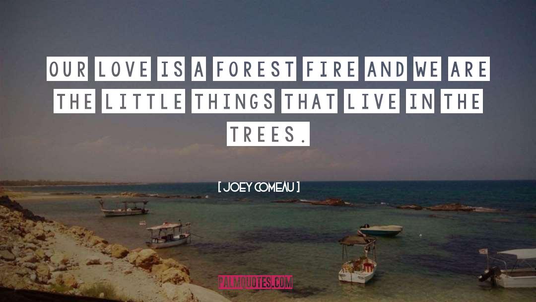 Joey Comeau Quotes: Our love is a forest