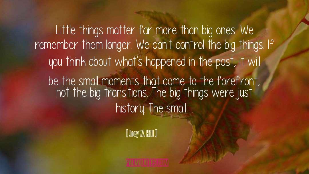 Joey W. Hill Quotes: Little things matter far more